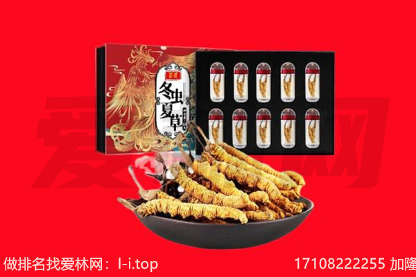 中山东升镇回收虫草.jpg